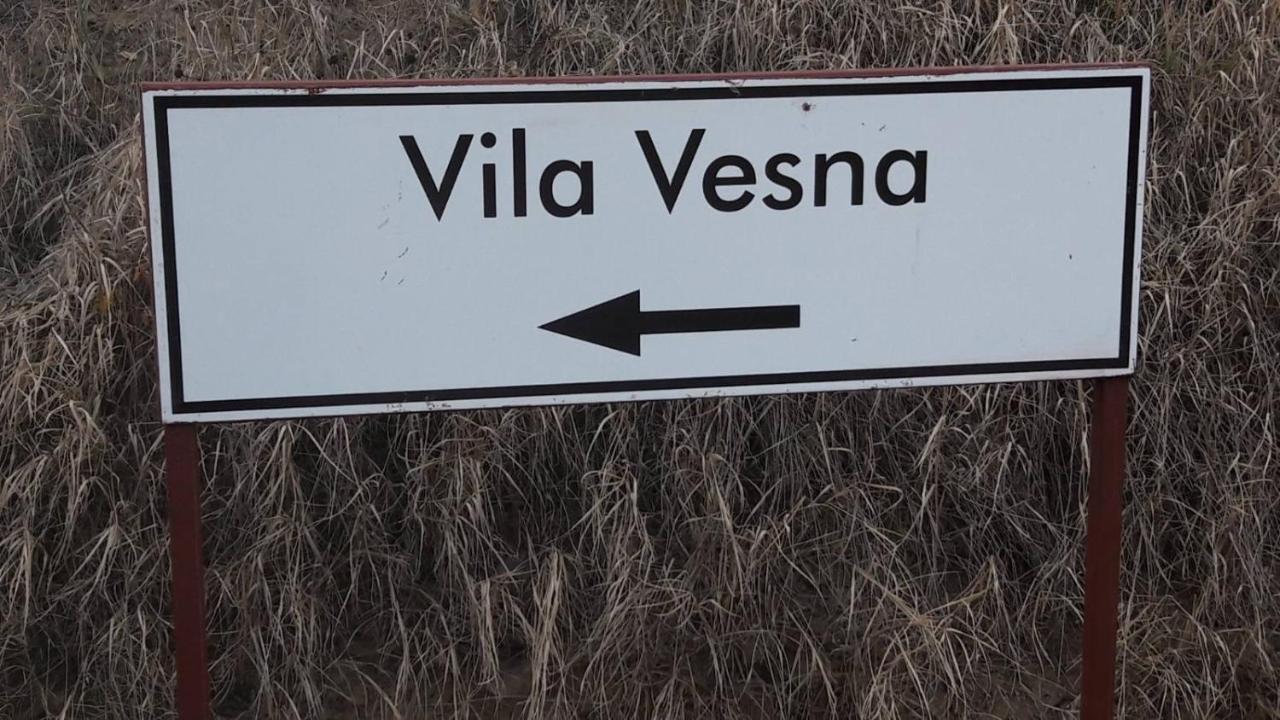 Villa Vesna 벨레스 외부 사진